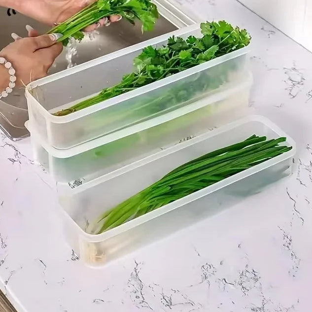 Fresh Keep Food Storage Container – Airtight Kitchen Organizer