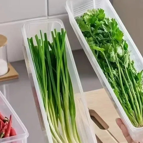 Fresh Keep Food Storage Container – Airtight Kitchen Organizer