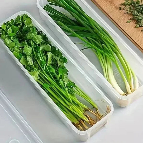 Fresh Keep Food Storage Container – Airtight Kitchen Organizer